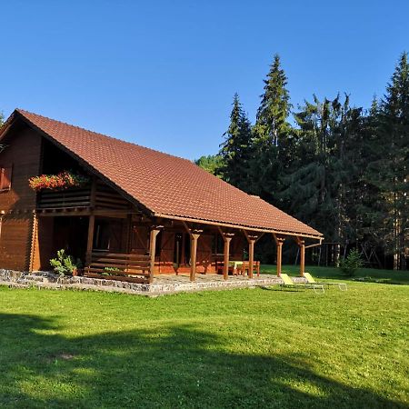 Casa De Vacanta Dintre Brazi Topliţa 外观 照片