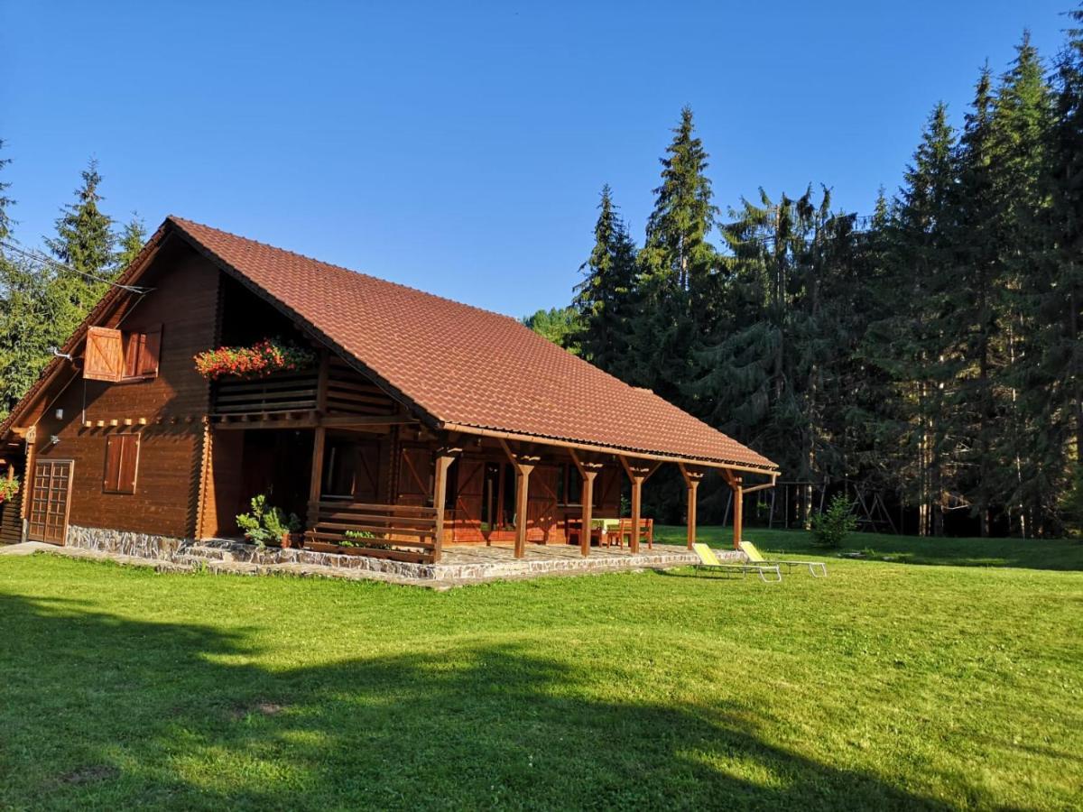 Casa De Vacanta Dintre Brazi Topliţa 外观 照片