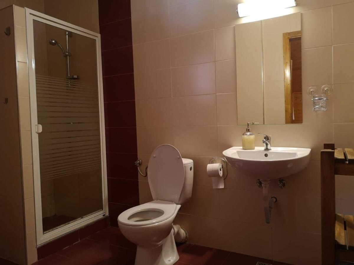 Casa De Vacanta Dintre Brazi Topliţa 外观 照片