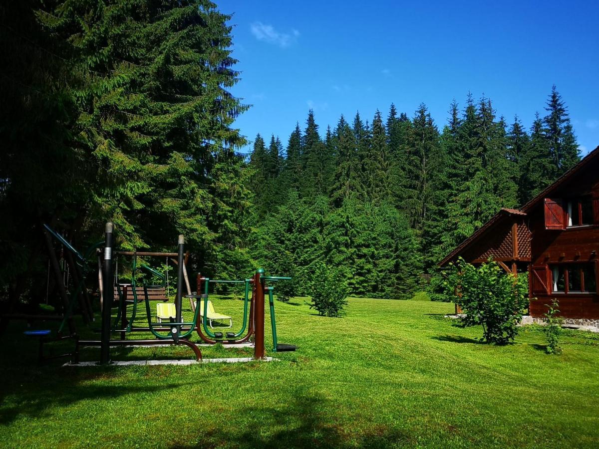 Casa De Vacanta Dintre Brazi Topliţa 外观 照片