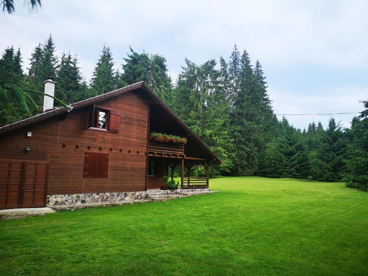 Casa De Vacanta Dintre Brazi Topliţa 外观 照片