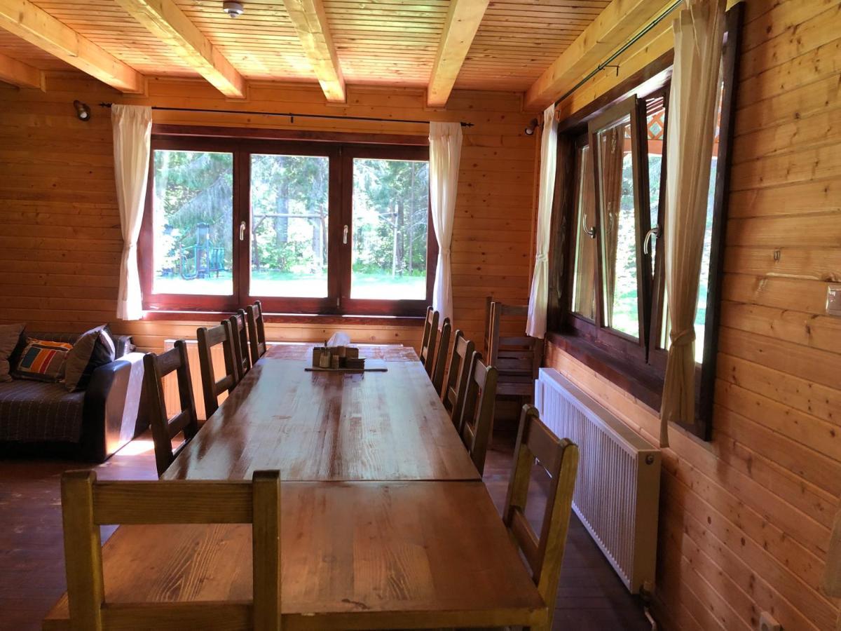 Casa De Vacanta Dintre Brazi Topliţa 外观 照片