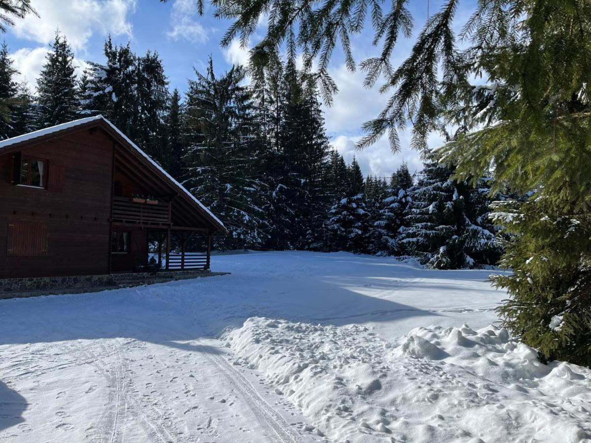 Casa De Vacanta Dintre Brazi Topliţa 外观 照片
