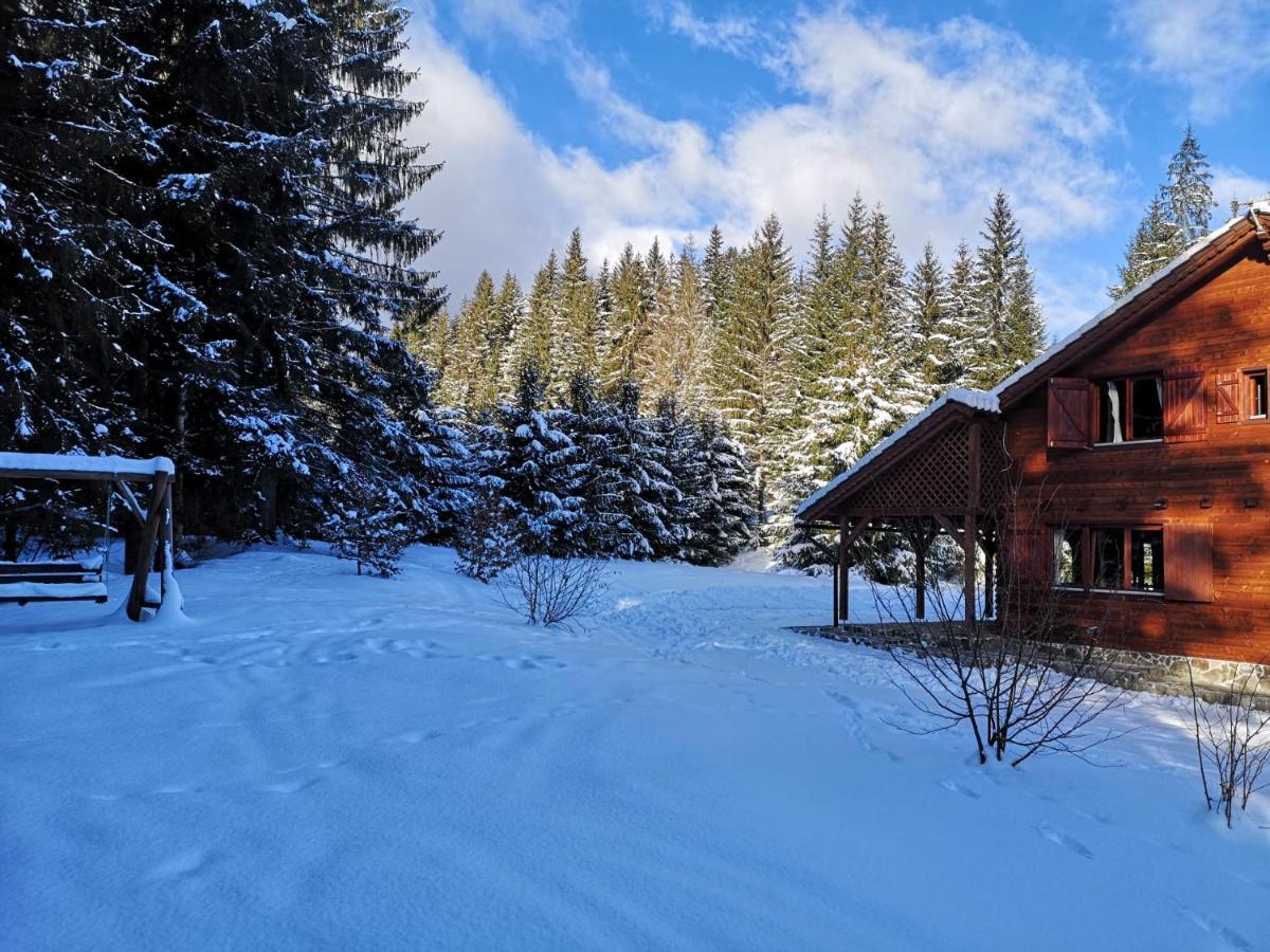 Casa De Vacanta Dintre Brazi Topliţa 外观 照片