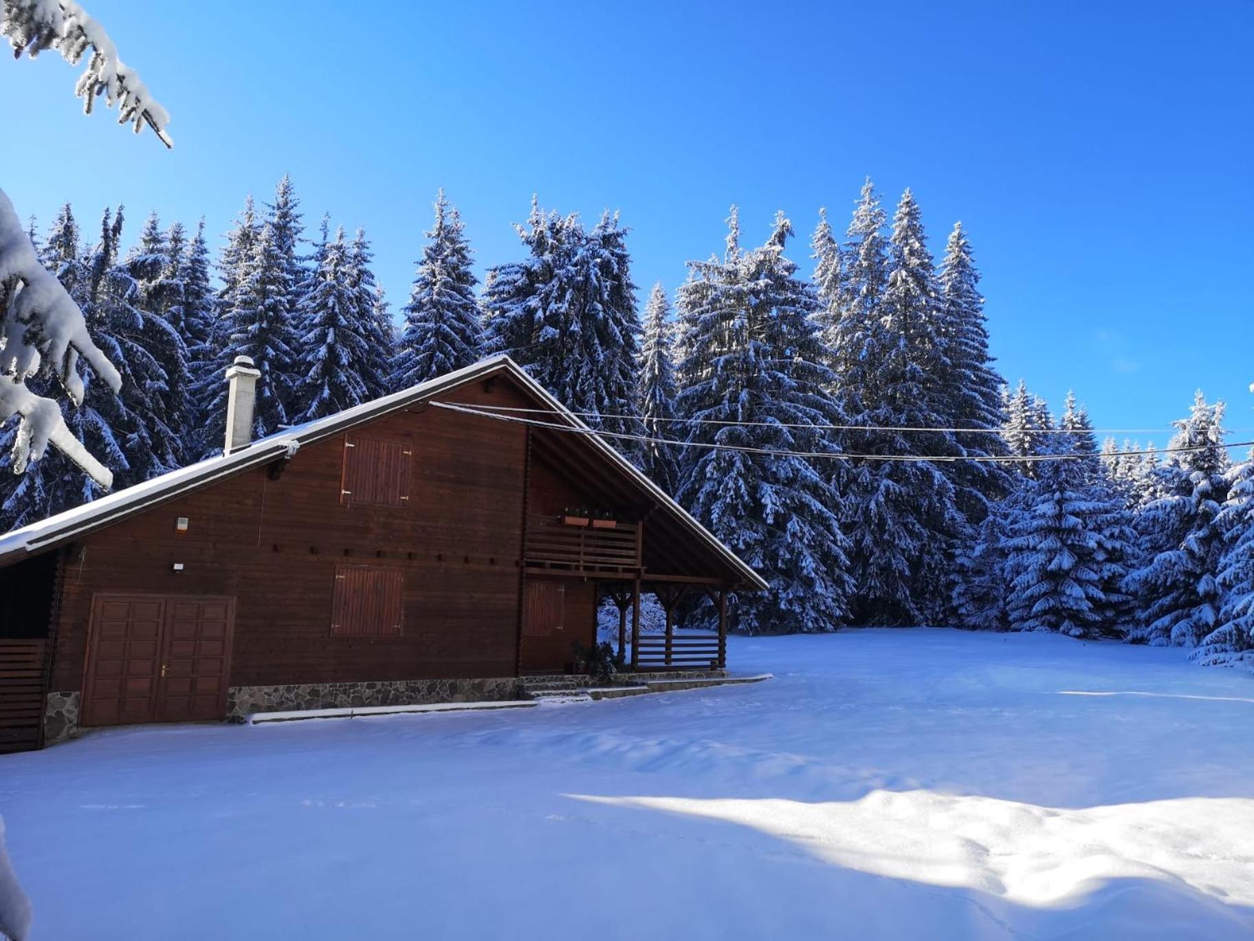 Casa De Vacanta Dintre Brazi Topliţa 外观 照片